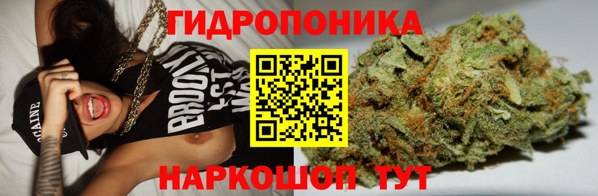 Конопля семена Саянск